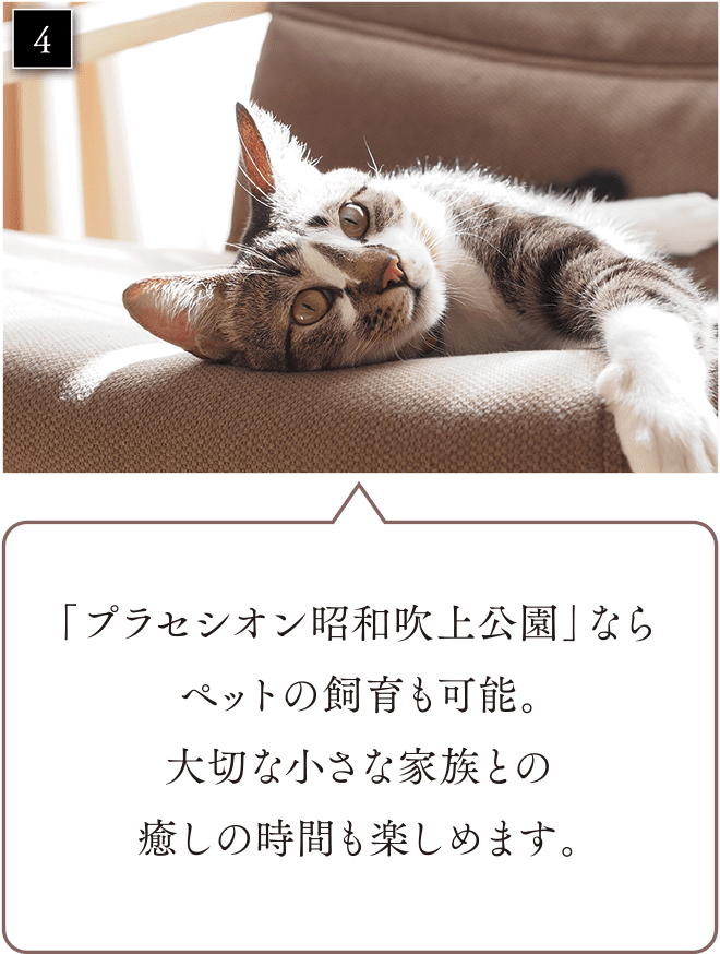 「プラセシオン昭和吹上公園」ならペットの飼育も可能。大切な小さな家族との癒しの時間も楽しめます。