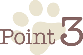 Point 3