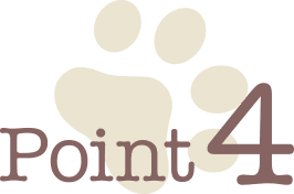 Point 4