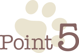 Point 5