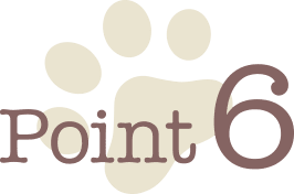 Point 6